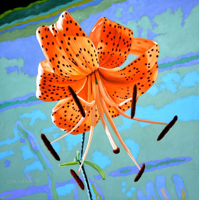blue tiger lily flowers